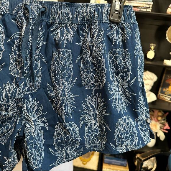 Lauren James Blue Pineapple Print Shorts Size Large - Picture 5 of 10